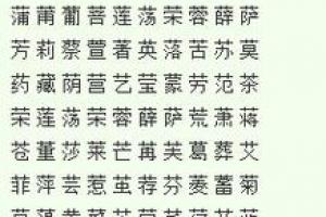 带草字头的字大全1000个