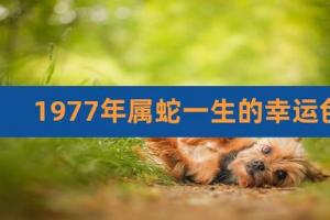 1965年属蛇2024年运势