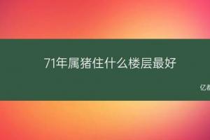 属猪人住几楼好(属牛的人住几楼最合适又最旺)