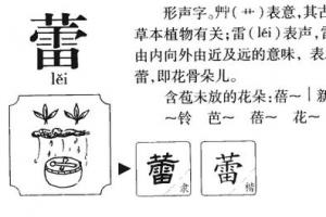 蕾五行属什么的字