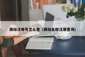 商标注册号怎么查（商标名称注册查询）