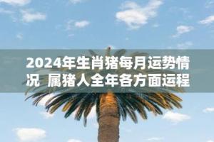 属猪人每月运势运程2024年运势如何